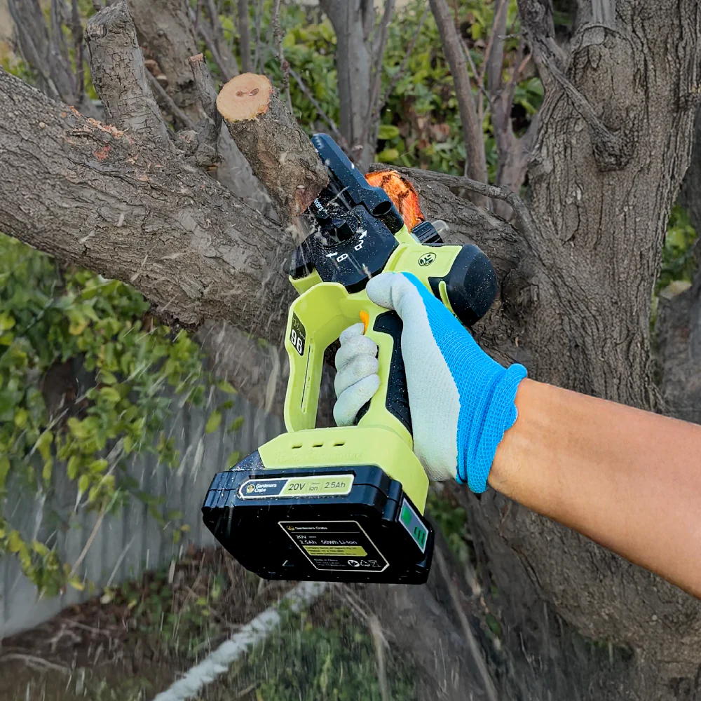 The Branch Boss Pruning Kit