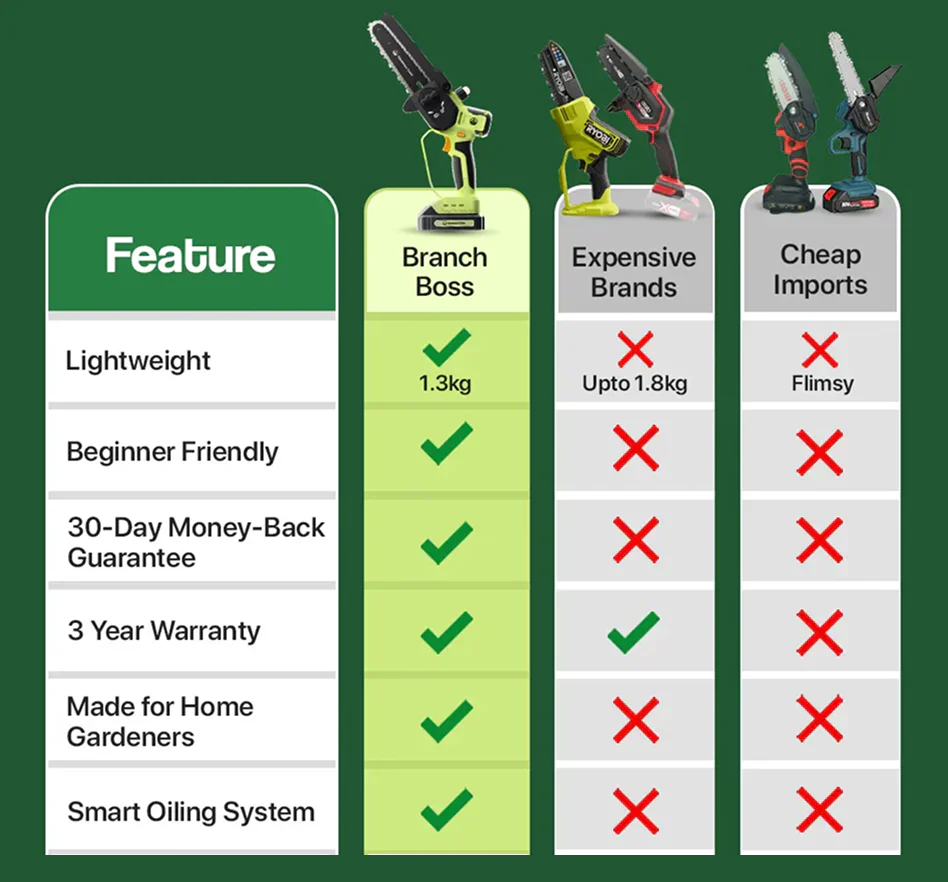 Comparison Image
